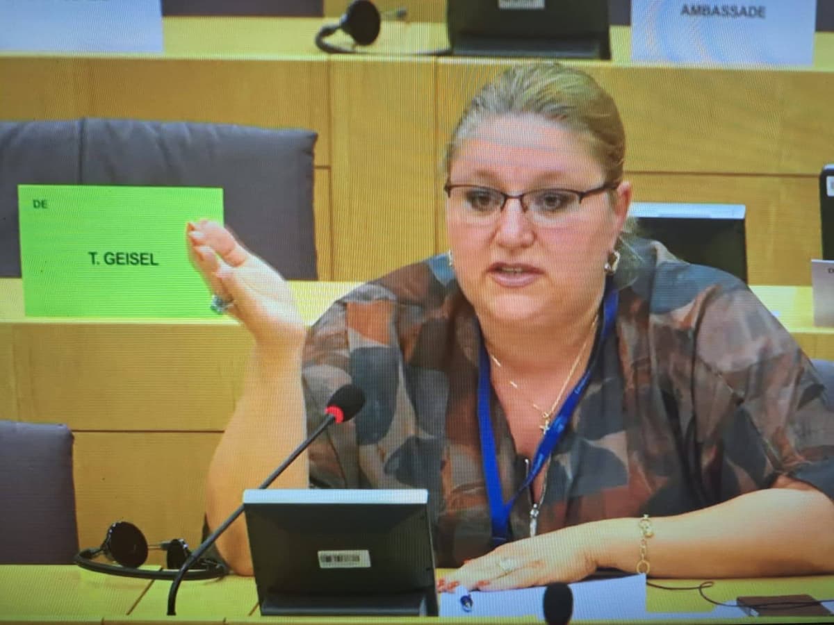 Diana Șoșoacă în plenul Parlamentului European Diana Șoșoacă în plenul Parlamentului European